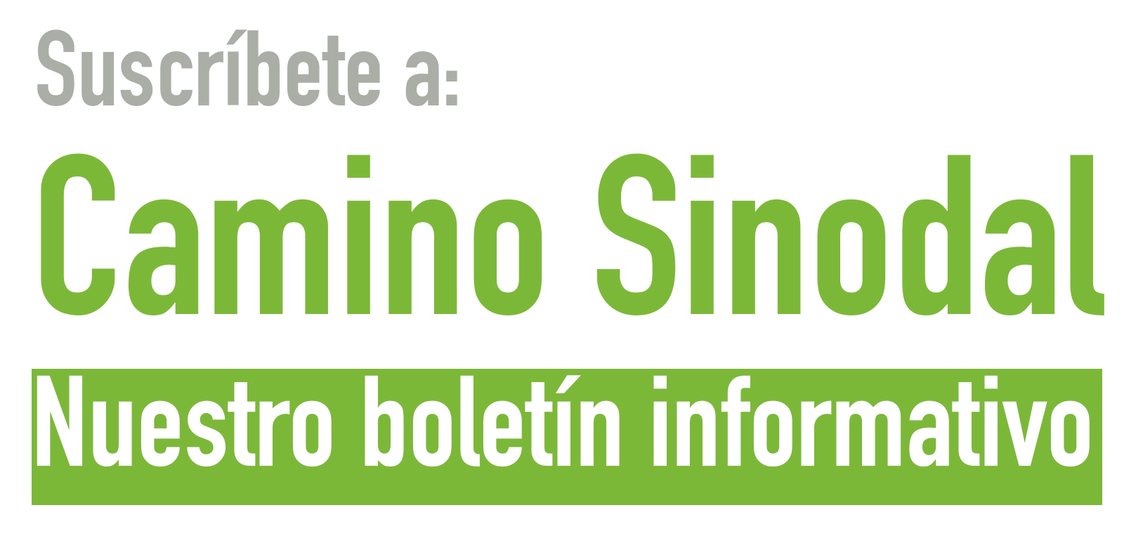 Camino Sinodal