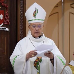 Cardenal Barreto invita a vivir el “kairós sinodal” con la parresía que nace de la sangre de Cristo y de los mártires de la Amazonía