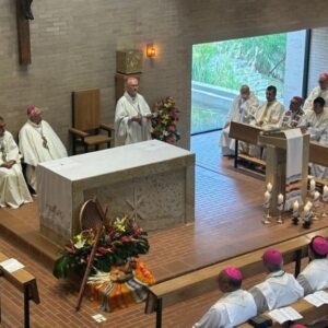 Card. Steiner: “Estamos aquí para retomar el Sínodo, para ponernos una vez más en camino”