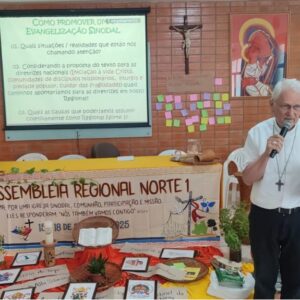 Iglesia en Brasil: La sinodalidad como camino para evangelizar juntos en la Amazonía