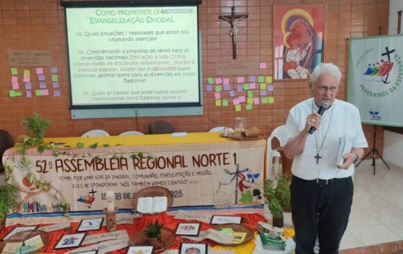 Iglesia en Brasil: La sinodalidad como camino para evangelizar juntos en la Amazonía