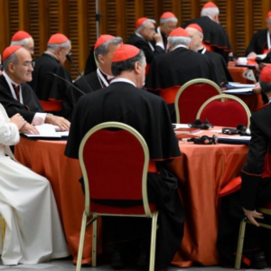 León XIV revitaliza el consistorio cardenalicio como instrumento sinodal de discernimiento y misión