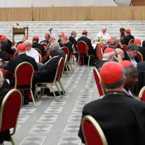 Papa León XIV: “La sinodalidad indica un modo de proceder: escuchar, discernir y asumir juntos la responsabilidad de las decisiones que el Señor nos confía”