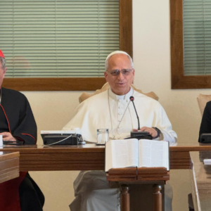 Papa León XIV anima el camino sinodal y alienta a las Iglesias de todos los continentes hacia la Asamblea Eclesial de 2028