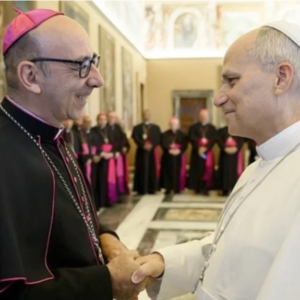 “Caminar juntos, caminar unidos”: la mirada de Monseñor Martínez de Aguirre sobre la sinodalidad con el Papa León XIV
