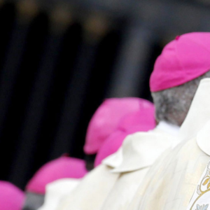 Bispos brasileiros animam a não deixar cair a profecia e reivindicam uma Igreja sinodal ao lado dos pobres