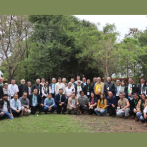 Cuaresma (62) Paraguai revê sua caminhada sinodal e projeta uma Igreja mais participativa e próxima das comunidades