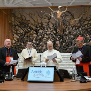Cuaresma (75) León XIV invita a construir una Iglesia que acompañe a las familias sin prejuicios